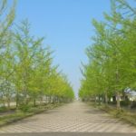 加須はなさき公園 加須はなさき水城公園(埼玉県加須市)