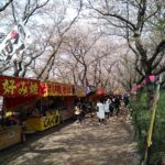 権現堂公園(埼玉県久喜市)