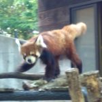 千葉市動物公園（千葉県千葉市）