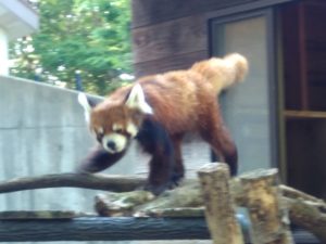千葉市動物公園（千葉県千葉市）